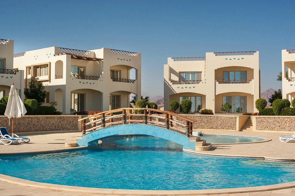 شاركس باي اوسيس