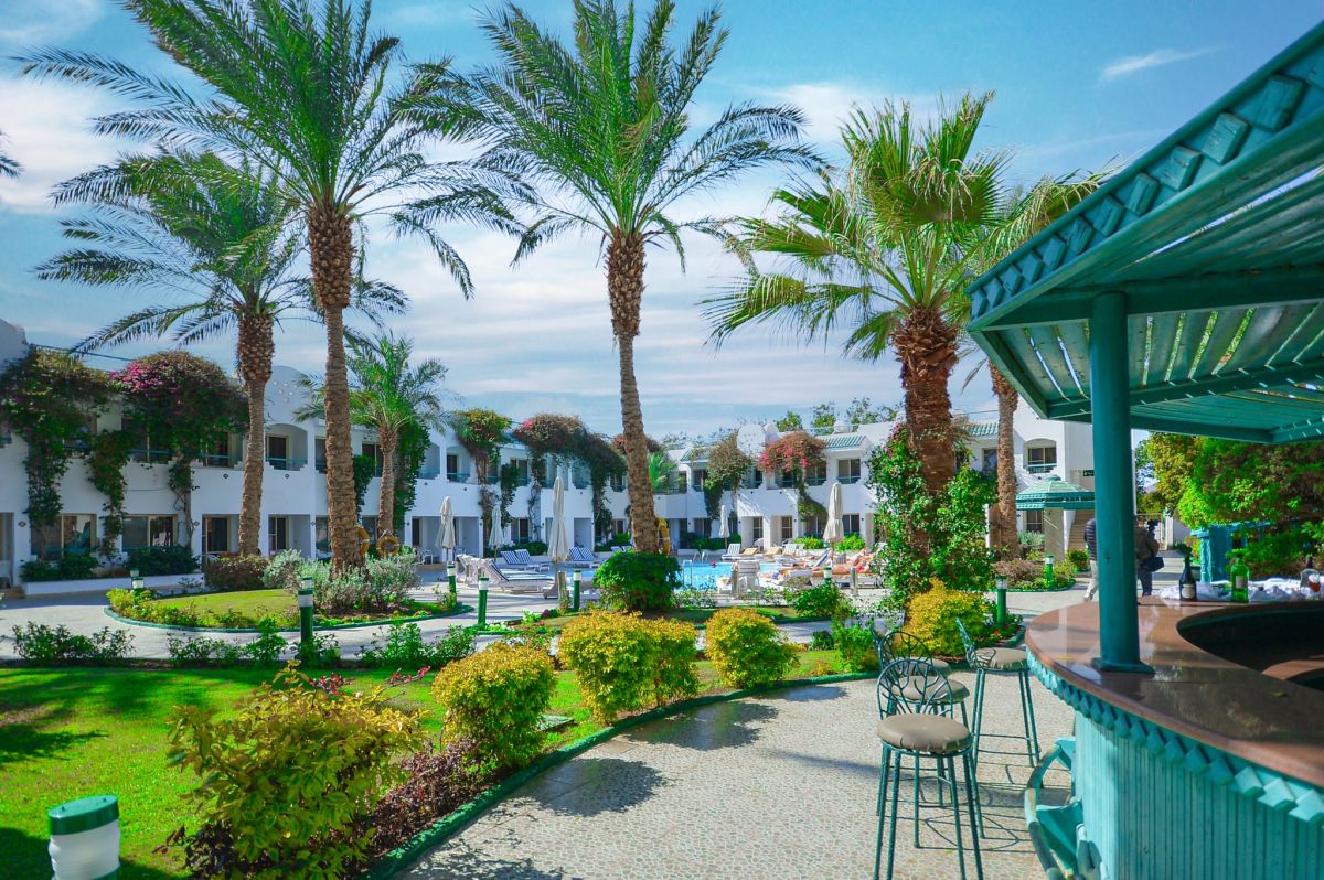 ڤالكون هيلز