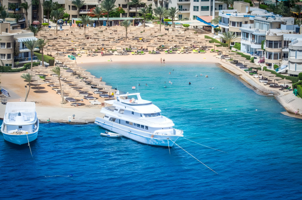 صورة الفندق 8