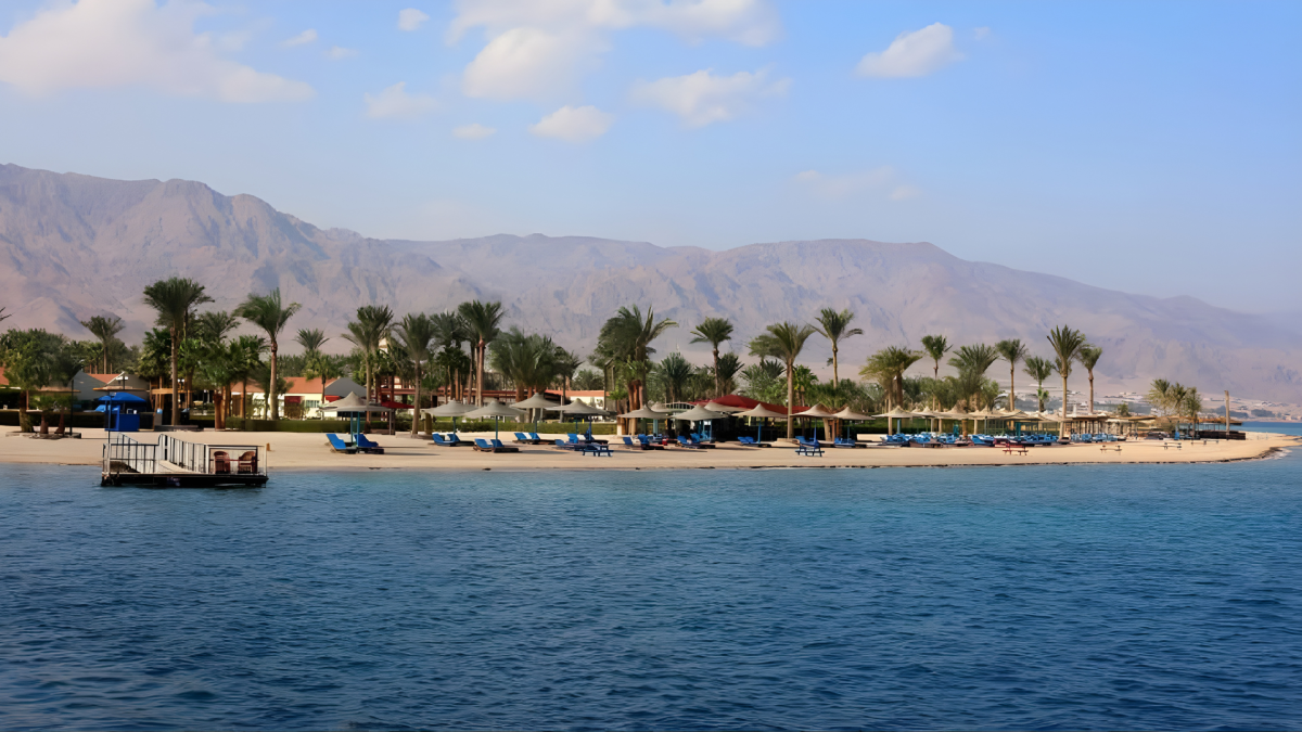 صورة الفندق 5