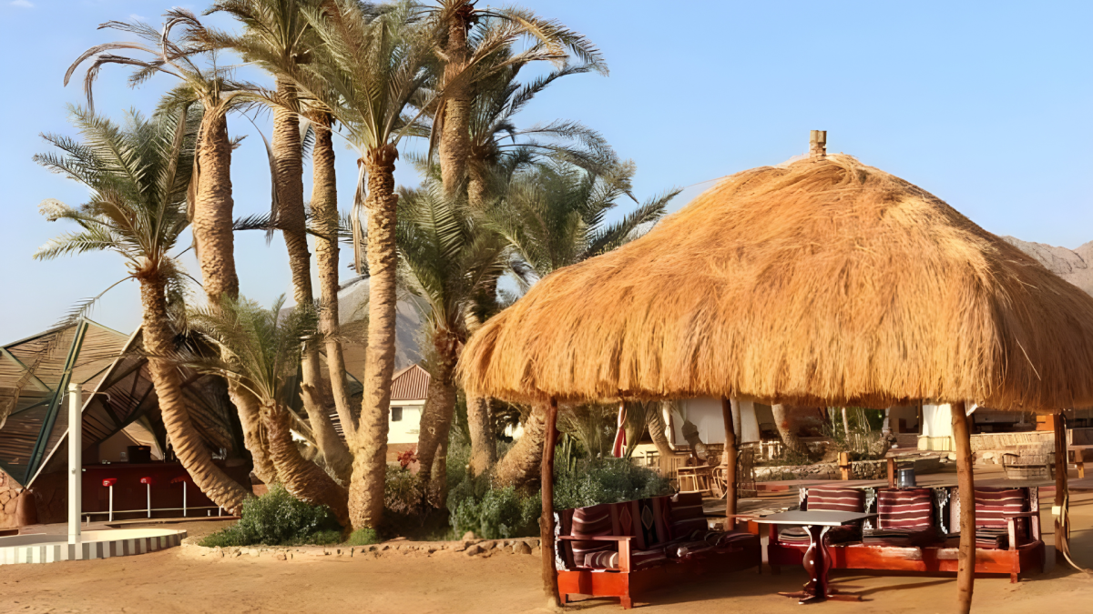 صورة الفندق 6