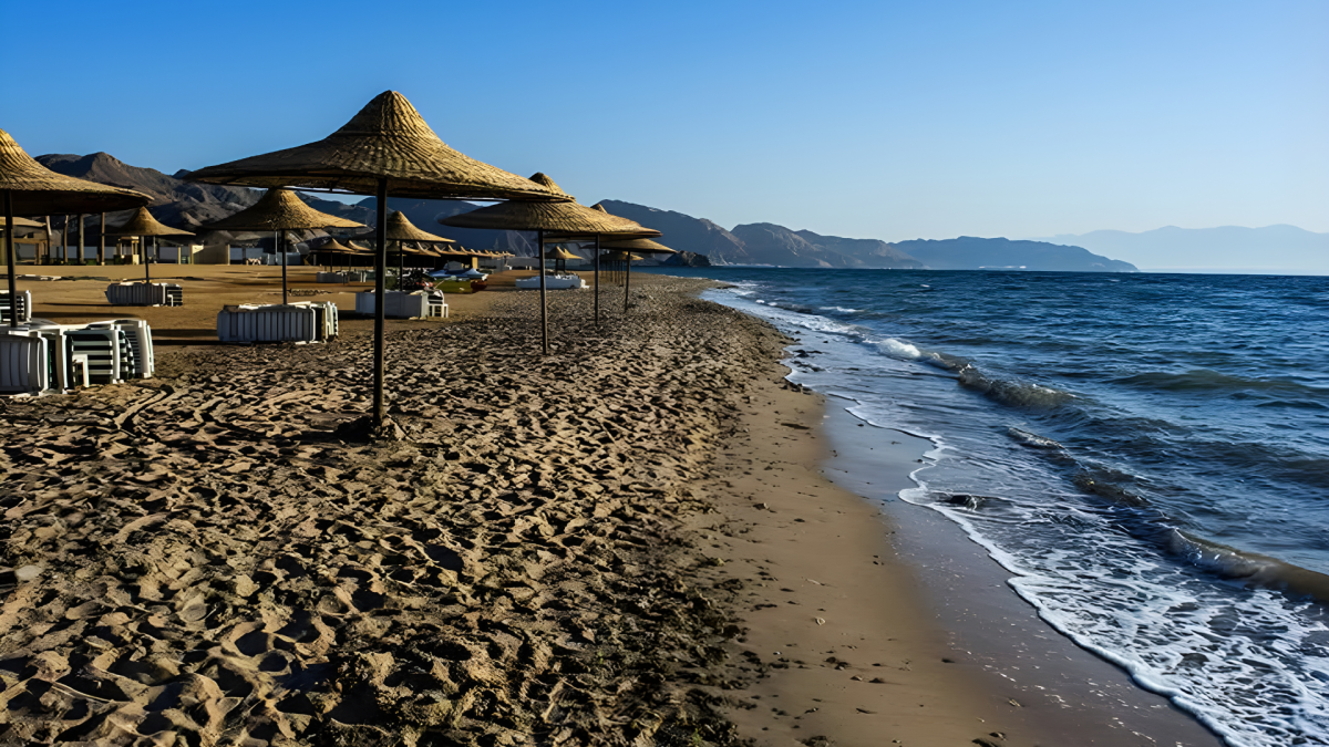 صورة الفندق 2