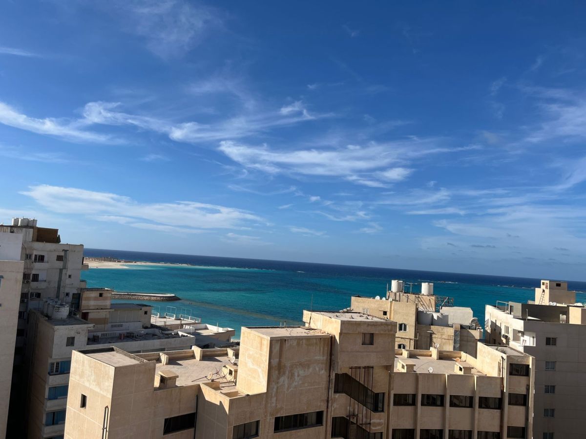 صورة الفندق 11