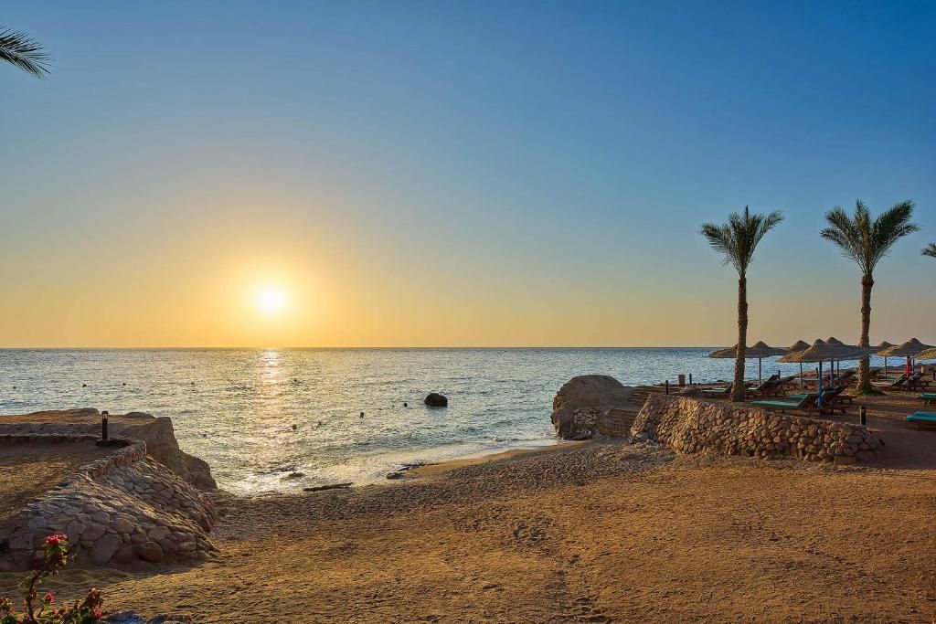 صورة الفندق 7